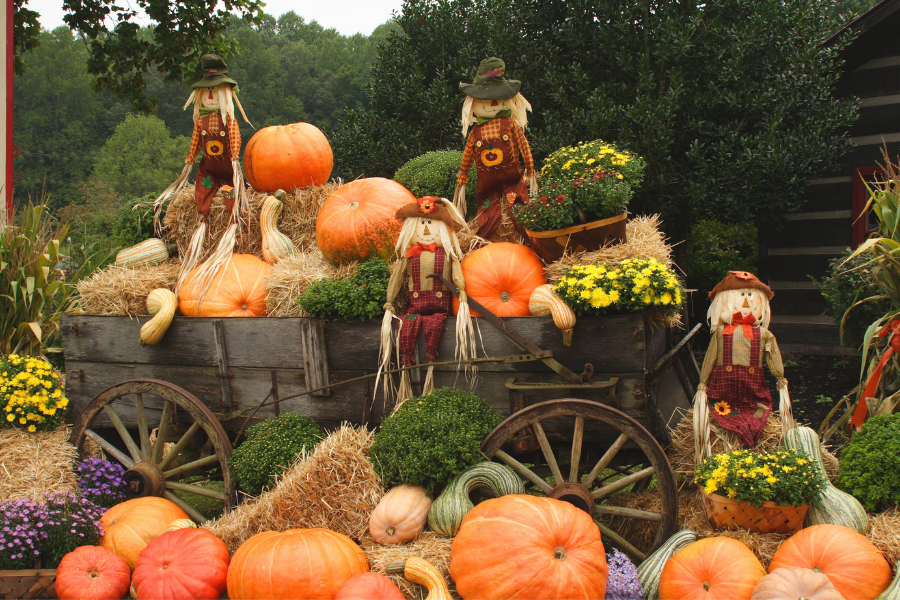 How to Transform Your Flower Garden into the Perfect Fall Garden ...