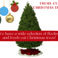 Wide Selection of Fresh-Cut and Flocked Christmas Trees