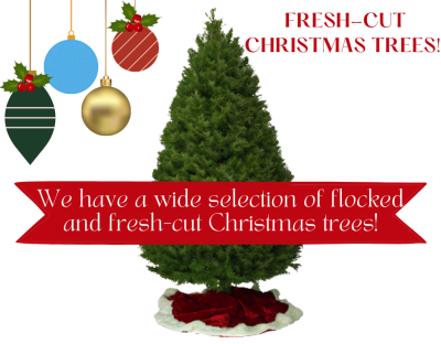 Wide Selection of Fresh-Cut and Flocked Christmas Trees