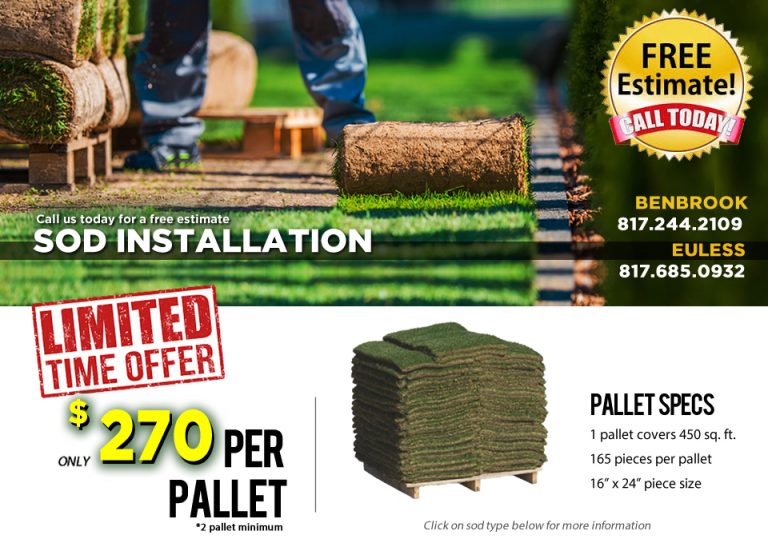 raleigh-st-augustine-and-palmetto-st-augustine-grass-sod-pallet